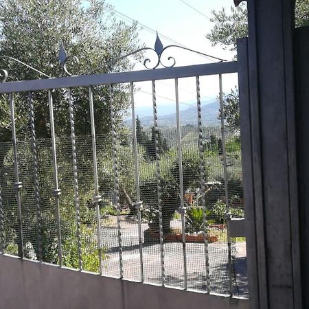 Villa La Casa Tra Gli Ulivi Di Fonte Nuova 2 Mentana Exterior foto