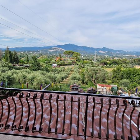 Villa La Casa Tra Gli Ulivi Di Fonte Nuova 2 Mentana Exterior foto
