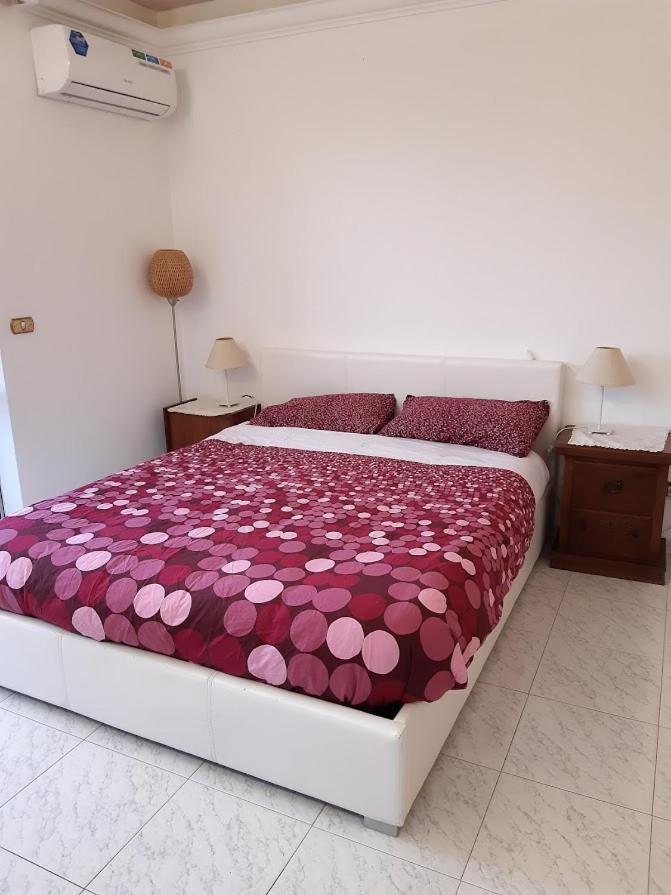Villa La Casa Tra Gli Ulivi Di Fonte Nuova 2 Mentana Exterior foto