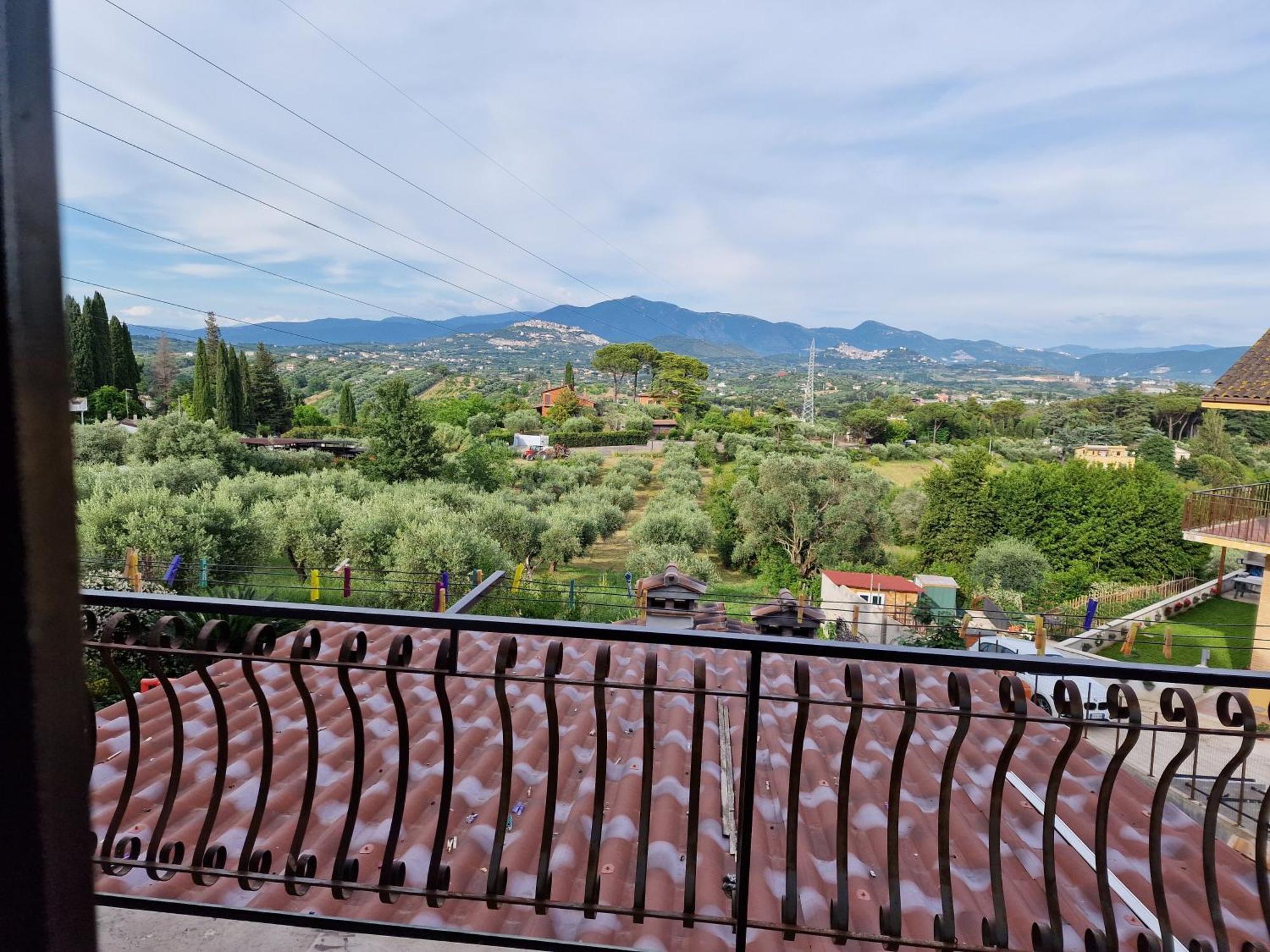 Villa La Casa Tra Gli Ulivi Di Fonte Nuova 2 Mentana Exterior foto