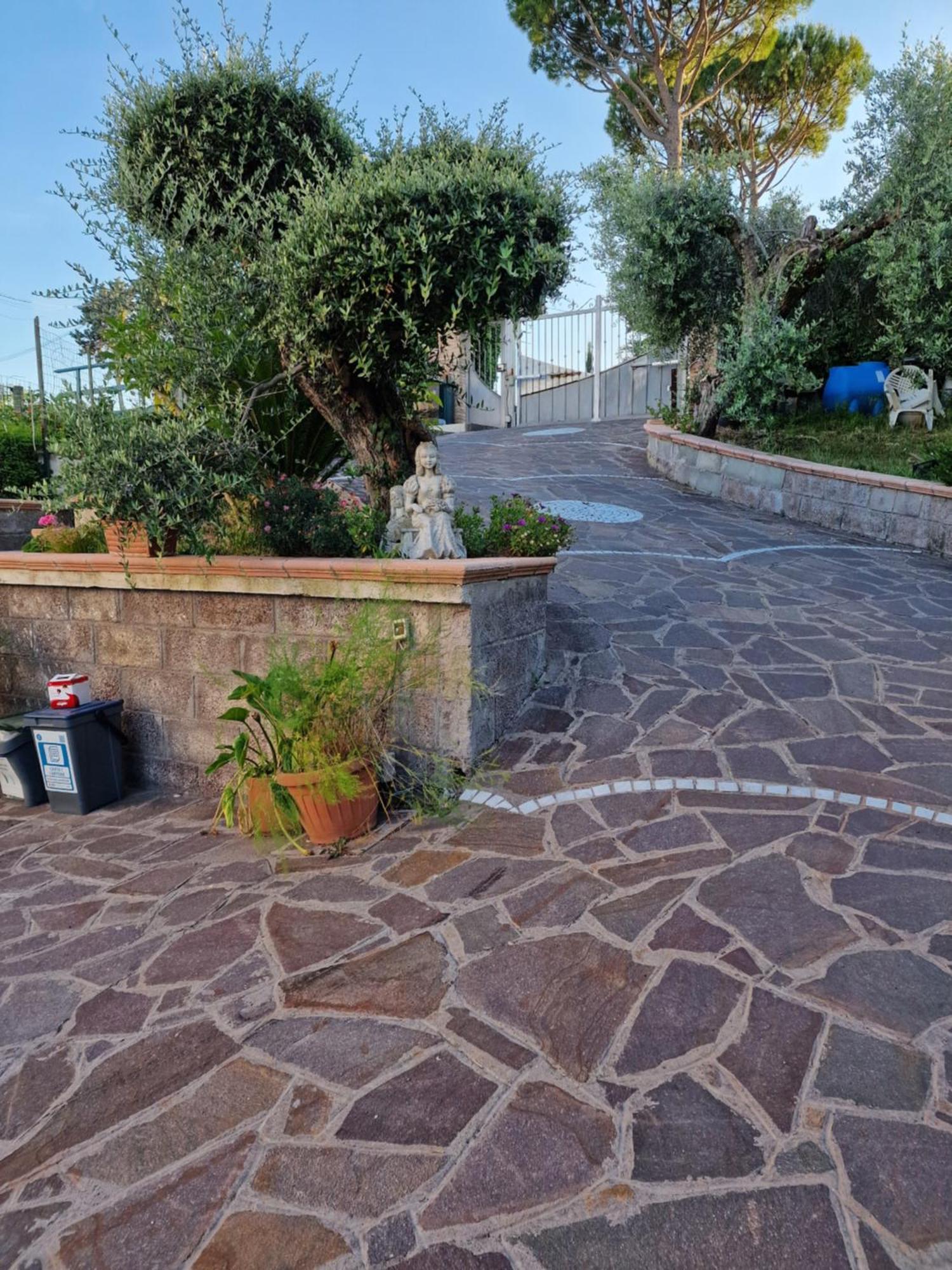 Villa La Casa Tra Gli Ulivi Di Fonte Nuova 2 Mentana Exterior foto